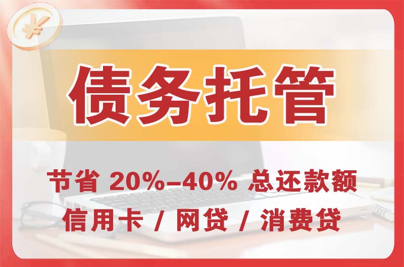 台商投资区债务托管